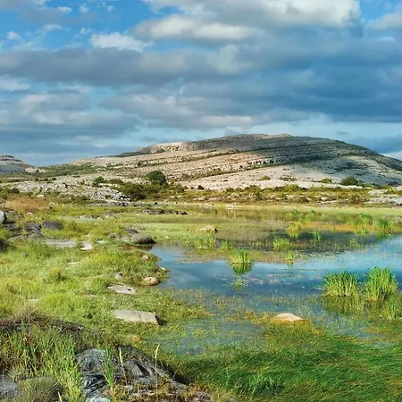 Elfin * Doolin